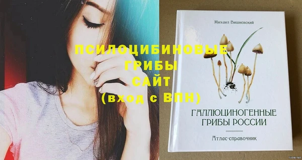 mix Белокуриха
