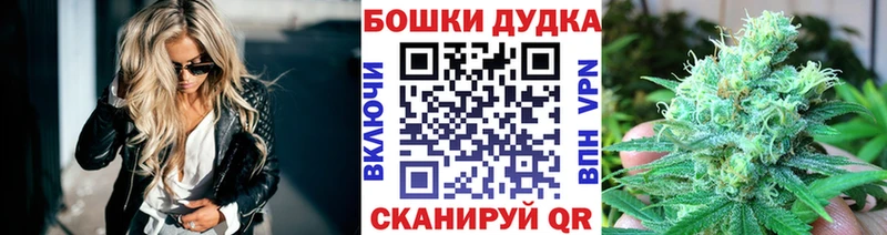 Бошки марихуана THC 21%  Дмитровск 